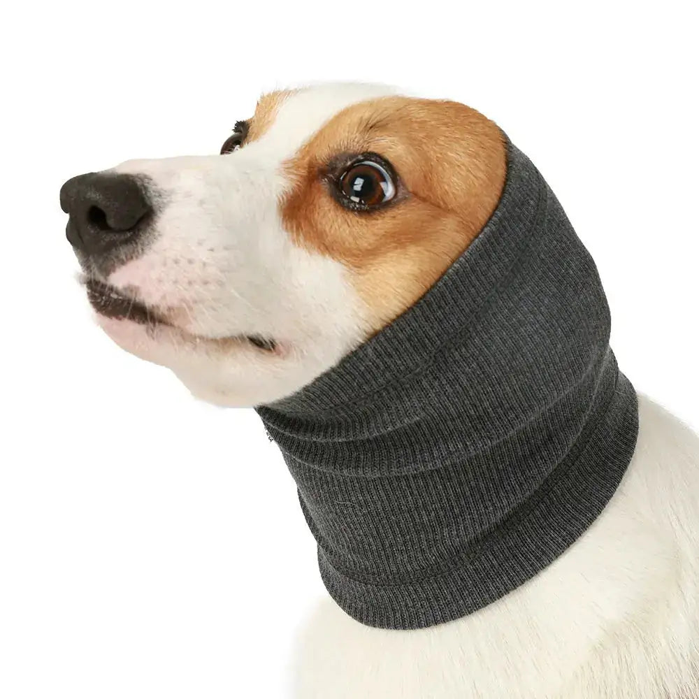 Pet Dog Comforter Headband Scarf Trendify Hubs