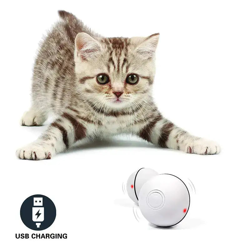 LED Laser Electronic Rolling Pet Funny Cat Toy Ball Trendify Hubs