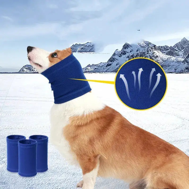 Pet Dog Comforter Headband Scarf Trendify Hubs