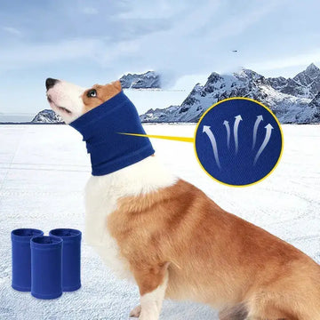 Pet Dog Comforter Headband Scarf Trendify Hubs