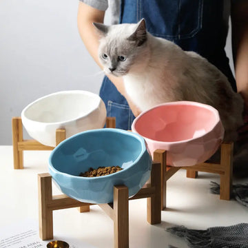 Pet bowl oblique mouth cat bowl food bowl dog bowl method bucket food bowl Trendify Hubs