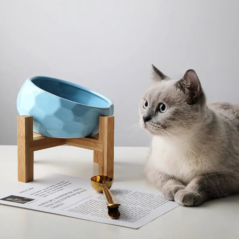Pet bowl oblique mouth cat bowl food bowl dog bowl method bucket food bowl Trendify Hubs