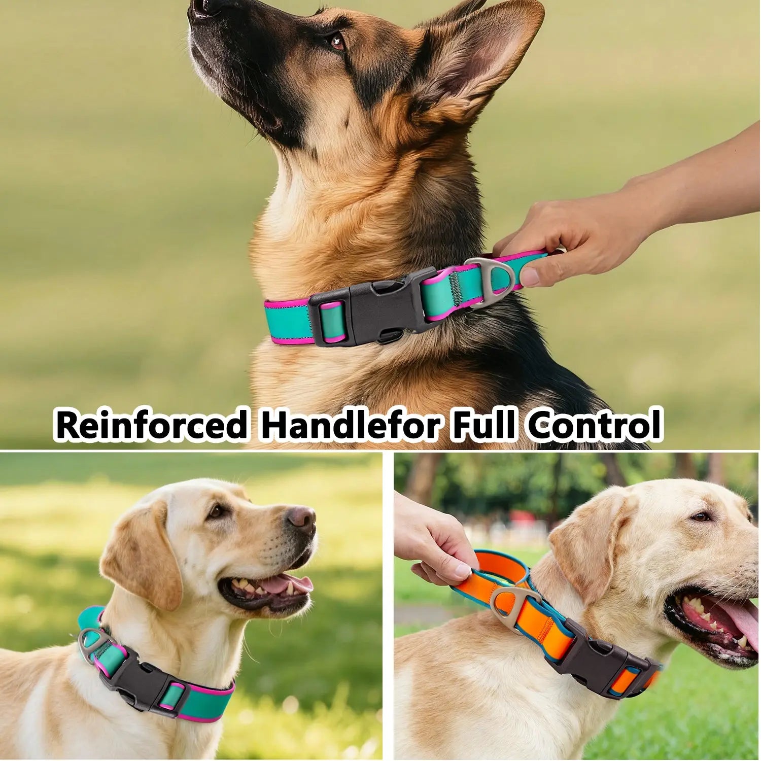 Fashionable New Tactical Collar Allows You To Better Control Your Beloved Dog Trendify Hubs