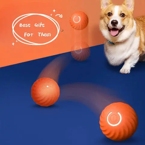 Jump Ball Basket,Pet Dog Rubber Ball Toys For Dogs Resistance To Bite Dog Chew Toys Puppy Pets Dogs Training Products Trendify Hubs