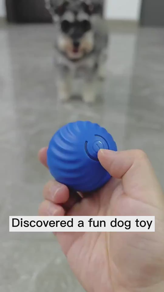 Jump Ball Basket,Pet Dog Rubber Ball Toys For Dogs Resistance To Bite Dog Chew Toys Puppy Pets Dogs Training Products Trendify Hubs