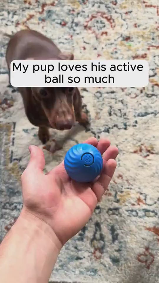Jump Ball Basket,Pet Dog Rubber Ball Toys For Dogs Resistance To Bite Dog Chew Toys Puppy Pets Dogs Training Products Trendify Hubs