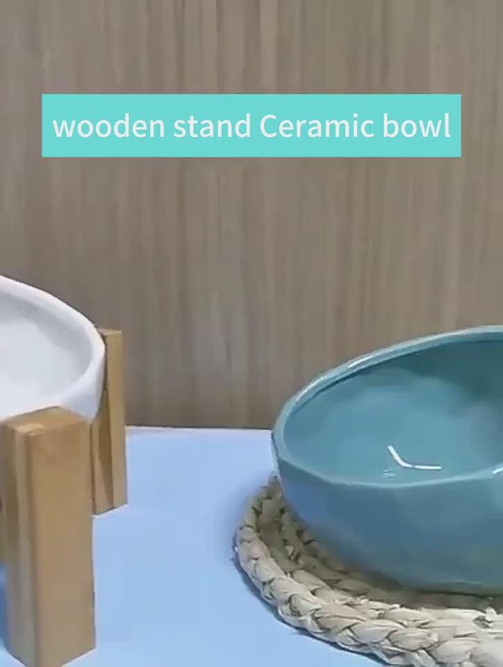 Best Dog Feeding Bowls To Slow Eating